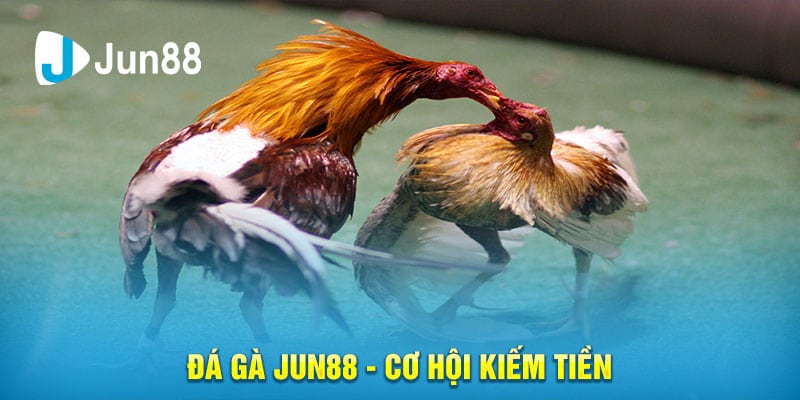 Đá Gà Jun88 - Cơ Hội Kiếm Tiền