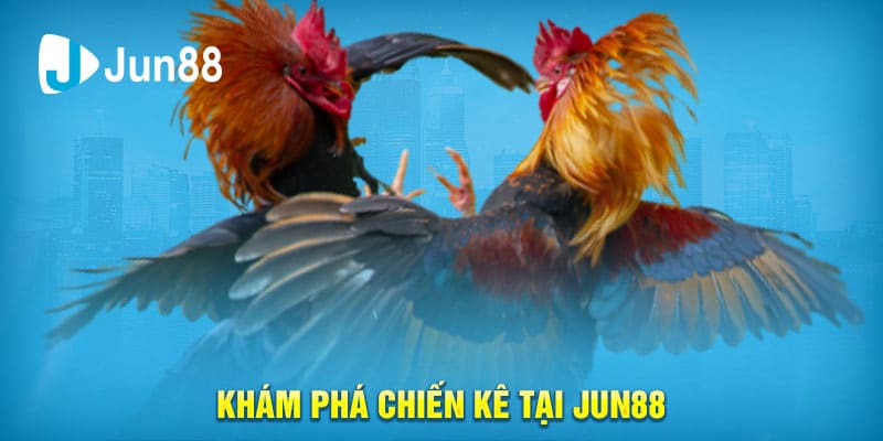 H2 Khám phá chiến kê tại Jun88